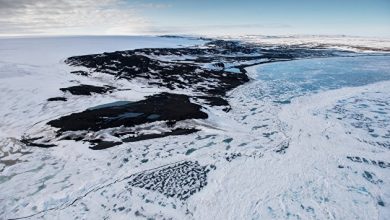 Photo of Государство поддержит шесть масштабных проектов в Арктике