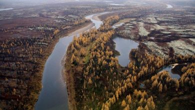 Photo of Туроператоры рассказали о снижении спроса на туры с кешбэком в регионах