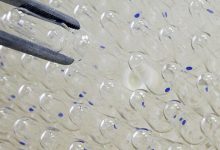 Photo of «Медси» начала клинические испытания вакцины «Спутник V»