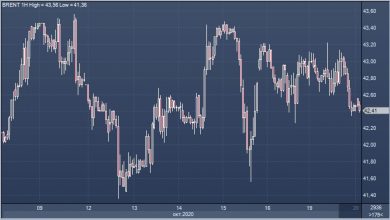 Photo of Goldman Sachs сомневается, что ОПЕК+ отложит увеличение добычи в январе |