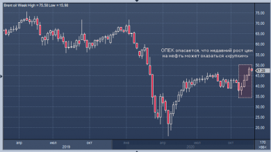 Photo of Министры ОПЕК+ не смогли договориться об отсрочке увеличения добычи нефти |