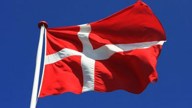Photo of Дания уничтожит всех норок из-за обнаружения у них коронавируса