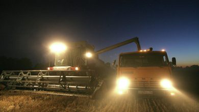 Photo of Россия получит один из самых больших урожаев зерна
