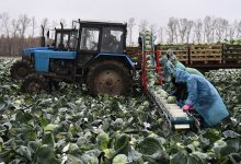 Photo of Российское сельское хозяйство — ложка меда в бочке дегтя