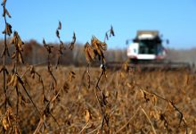 Photo of Россия переключилась на экспорт пшеницы в преддверии ограничений на вывоз