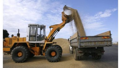 Photo of Минсельхоз: зерно продолжит дешеветь после введения пошлин