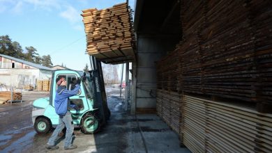 Photo of В России предложено ограничить экспорт древесины