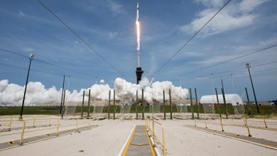 Photo of SpaceX до конца года планирует отправить на орбиту 4 космических туристов