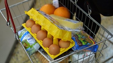 Photo of В Минсельхозе рассказали о самообеспеченности куриным пищевым яйцом