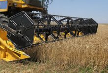 Photo of Власти назвали условия отказа от регулирования экспорта зерна