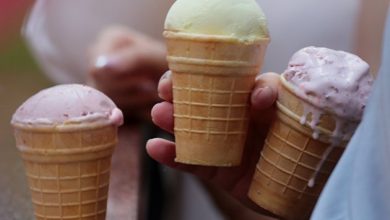 Photo of Финская Valio начнет производить мороженое в России