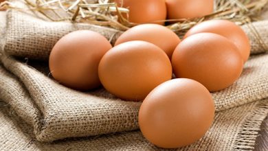 Photo of В отрасли сообщили о снижении отпускных цен на яйца