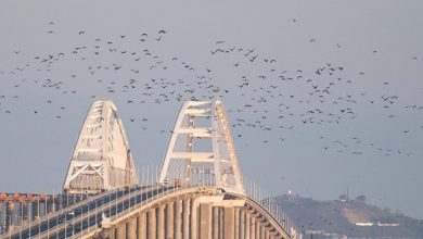 Photo of В России подготовили туры для переболевших коронавирусом