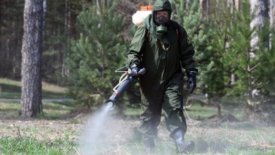 Photo of Каждая десятая компания в России страхует сотрудников от укусов клещей