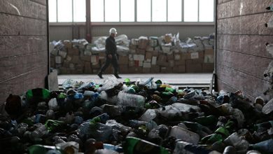 Photo of Эксперты подсчитали эффективность сжигания мусора в России