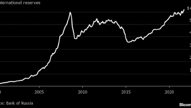 Photo of Международные резервы РФ достигли рекорда благодаря деньгам МВФ