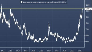 Photo of Пшеница в США подорожала до многолетних максимумов
