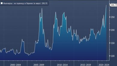 Photo of Пшеница подорожала до 9-летнего максимума после египетских и саудовских тендеров