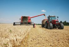 Photo of Россия к восьмому ноября собрала 122 миллиона тонн зерна