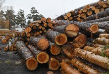 Photo of Рост цен подстегнул увеличение заготовки древесины