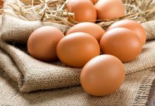 Photo of Россия разрешила поставки яиц и цыплят с ряда ферм Британии и Нидерландов