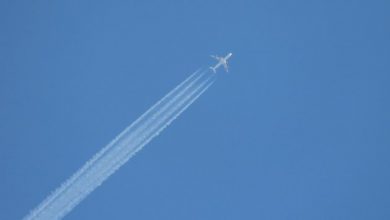 Photo of Болгария, Польша и Чехия уведомили авиакомпании России о запрете полетов