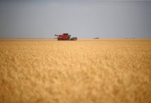 Photo of Россия в 2020-2021 сельхозгоду экспортировала 49,2 миллиона тонн зерна
