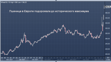 Photo of Пшеница в Европе подорожала до исторического максимума
