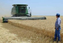 Photo of Фермеры США не могут получить выгоду от роста цен на пшеницу