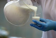 Photo of Кабмин России перенес начало маркировки молочной продукции для фермеров