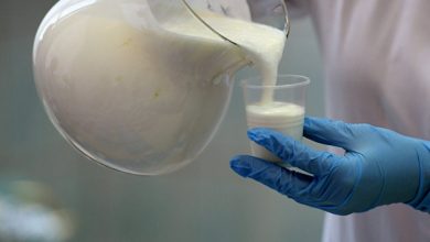 Photo of Кабмин России перенес начало маркировки молочной продукции для фермеров