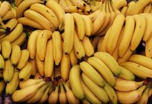 Photo of Эксперт предупредил о возможном дефиците бананов в России