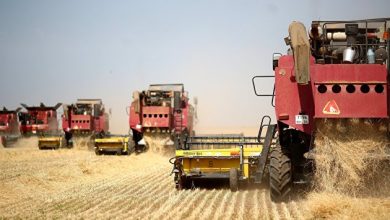 Photo of Поставщики зерна прогнозируют «сумасшедший» экспортный спрос на пшеницу