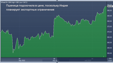 Photo of Пшеница подскочила в цене, поскольку Индия планирует экспортные ограничения