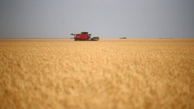 Photo of СМИ: США и Европа прорабатывают пути вывоза пшеницы и кукурузы с Украины