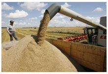 Photo of В России изучают пересмотр формулы пошлины на экспорт зерна