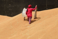 Photo of Пшеница и пальмовое масло подешевели, притормозив продовольственную инфляцию