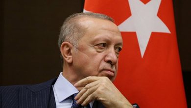 Photo of Эрдоган: в Турции «зерновой проблемы» нет