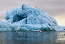 Photo of На ПМЭФ договорились о создании ветропарков в Арктике
