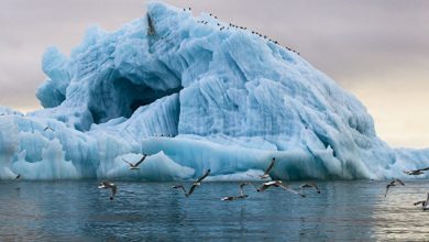 Photo of На ПМЭФ договорились о создании ветропарков в Арктике