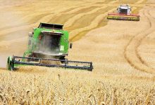 Photo of Евросоюз в июне способствовал экспорту 2,5 миллиона тонн зерна с Украины