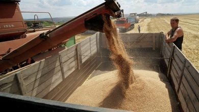 Photo of Пошлина на экспорт пшеницы с 6 июля составит 4 600 рублей за тонну