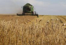 Photo of В ООН заявили о дискуссиях «на высших уровнях» по проблеме экспорта зерна