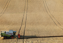 Photo of Отгрузка российского зерна и хорошая погода снизили опасения по поводу кризиса на рынке пшеницы