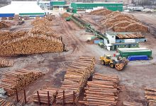 Photo of Объем заготовки древесины упал в России за год