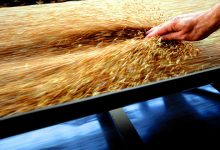 Photo of Украинские фермеры считают доставку зерна зарубежным покупателям невыгодной