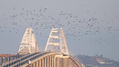 Photo of Оператор Крымского моста зафиксировал новый рекорд суточного трафика