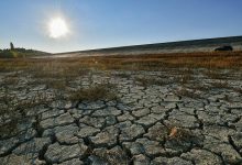 Photo of В Испании оценили последствия сильной засухи в регионе