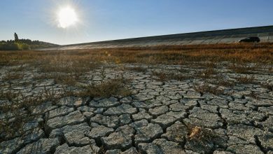 Photo of В Испании оценили последствия сильной засухи в регионе