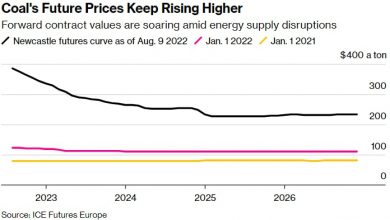 Photo of Стремительный рост цен на уголь может продлиться несколько лет из-за санкций